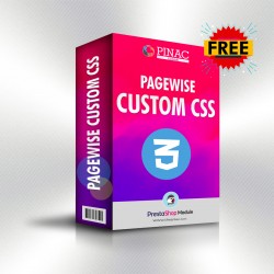 Pagewise Custom CSS Module